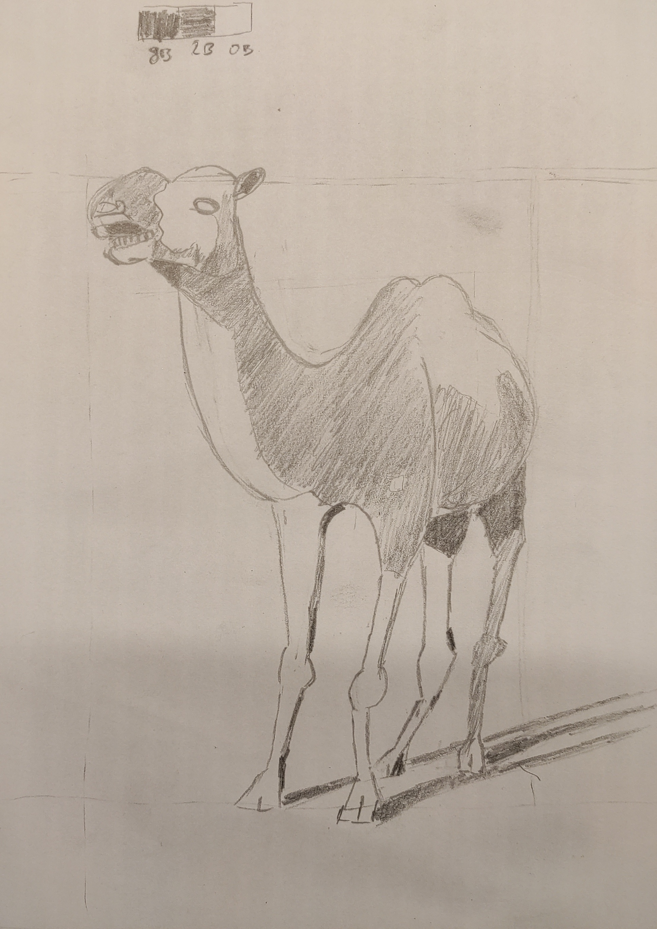 Shadow Mapping Proko Proko - CSI Camel - Shadow Mapping