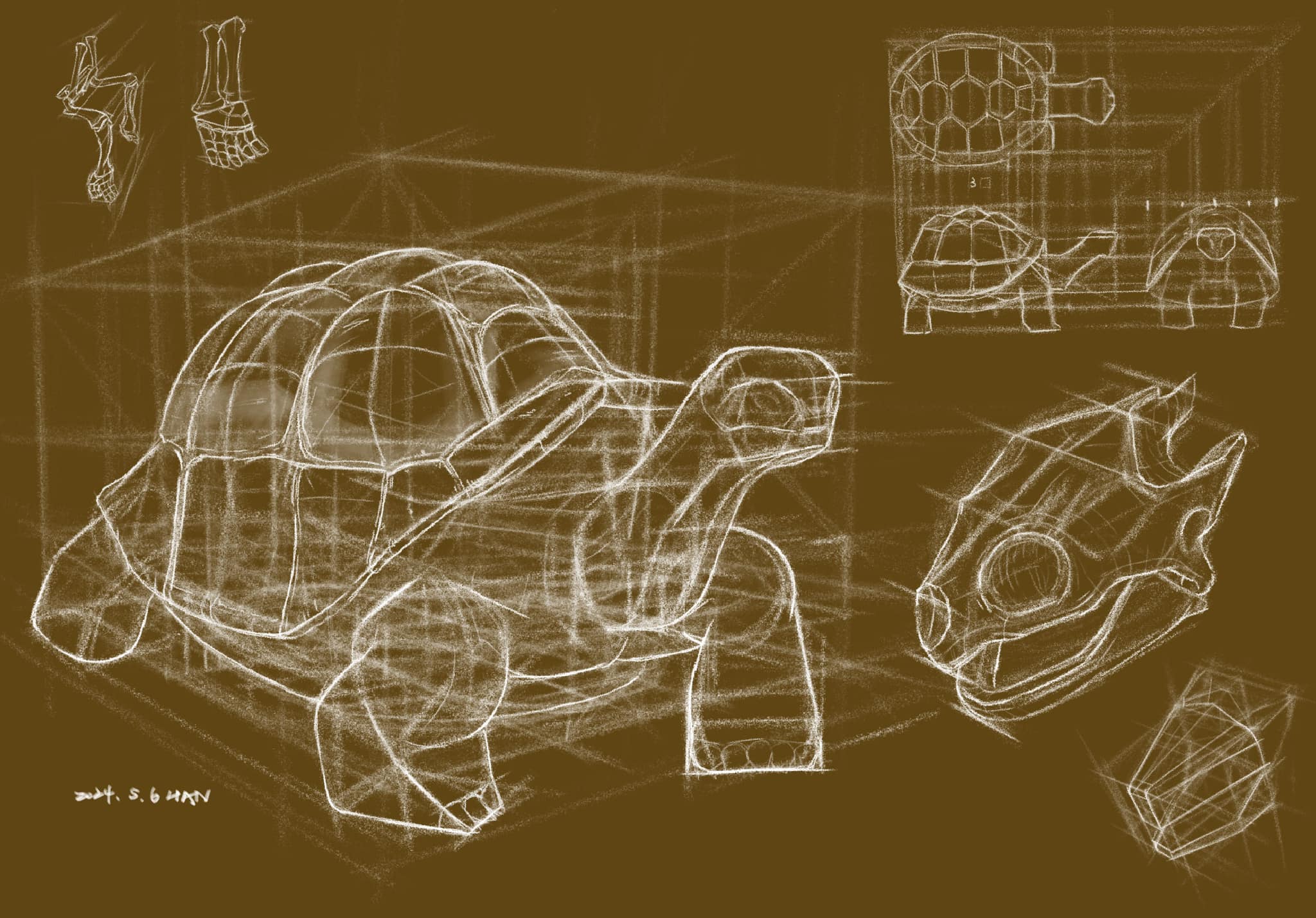 Proko - Studying Tortoise Forms Through Grids