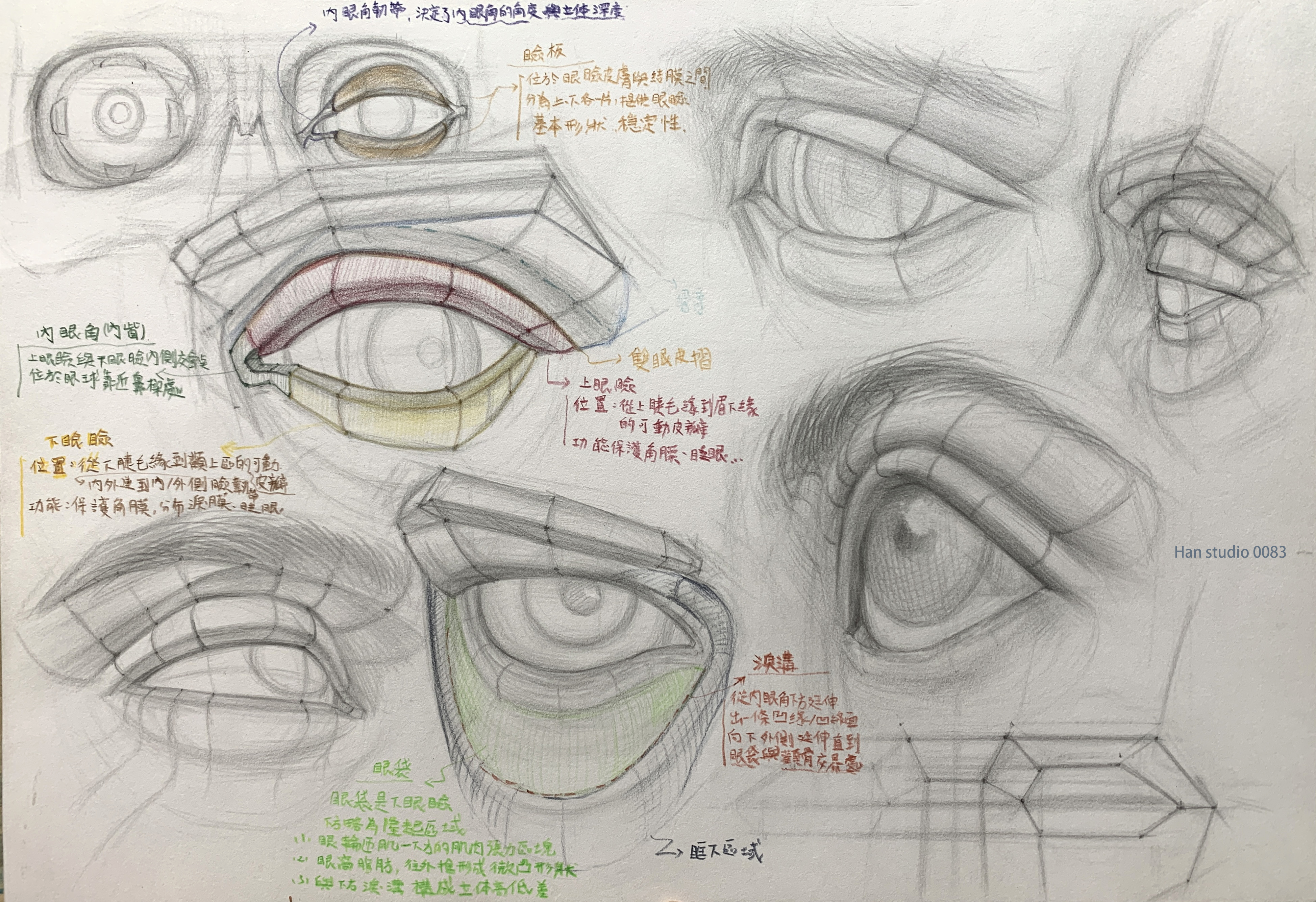 Proko - Studying the Eye Area: Structure Beneath the Surface