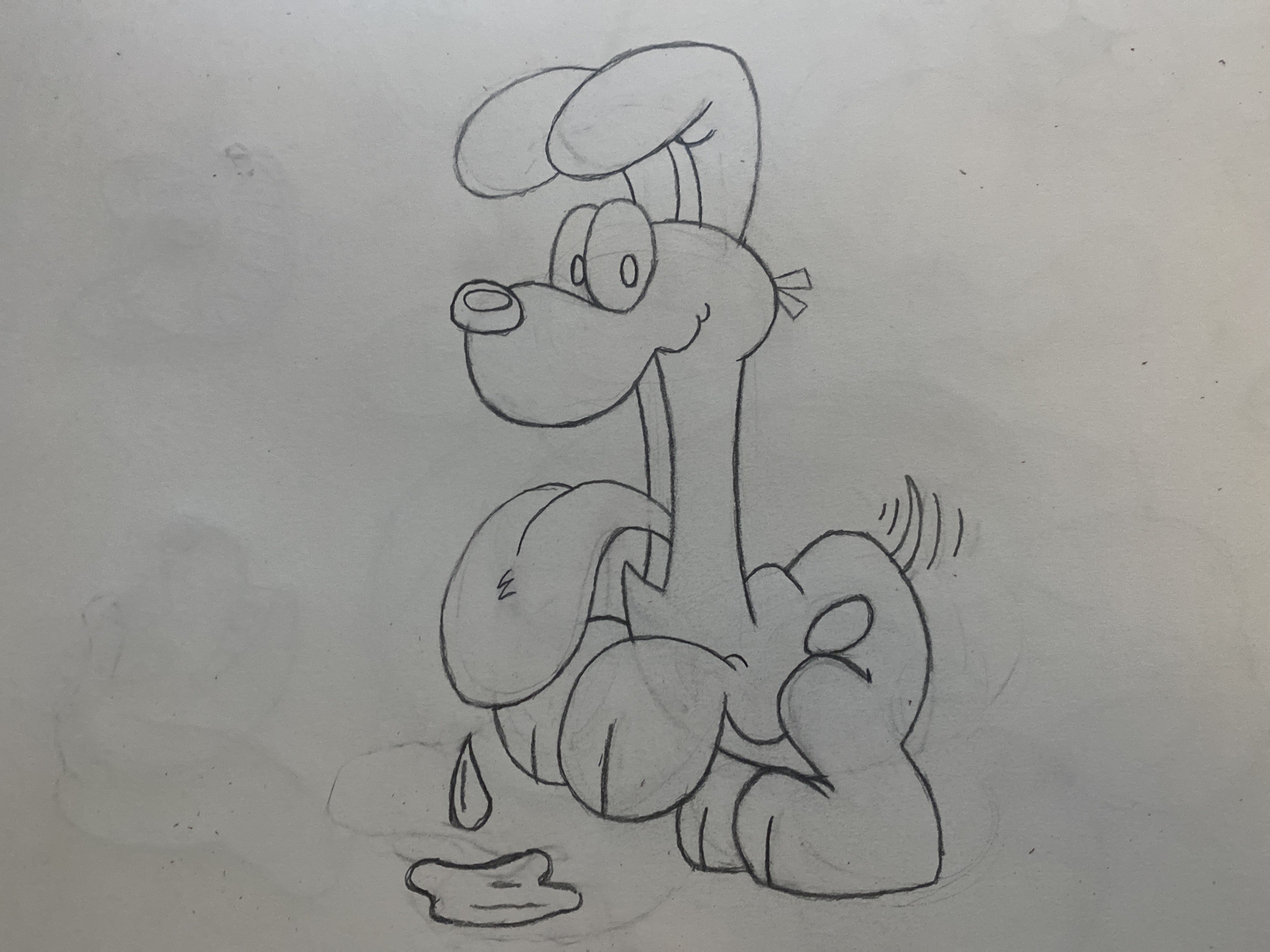 Proko - Odie the dog