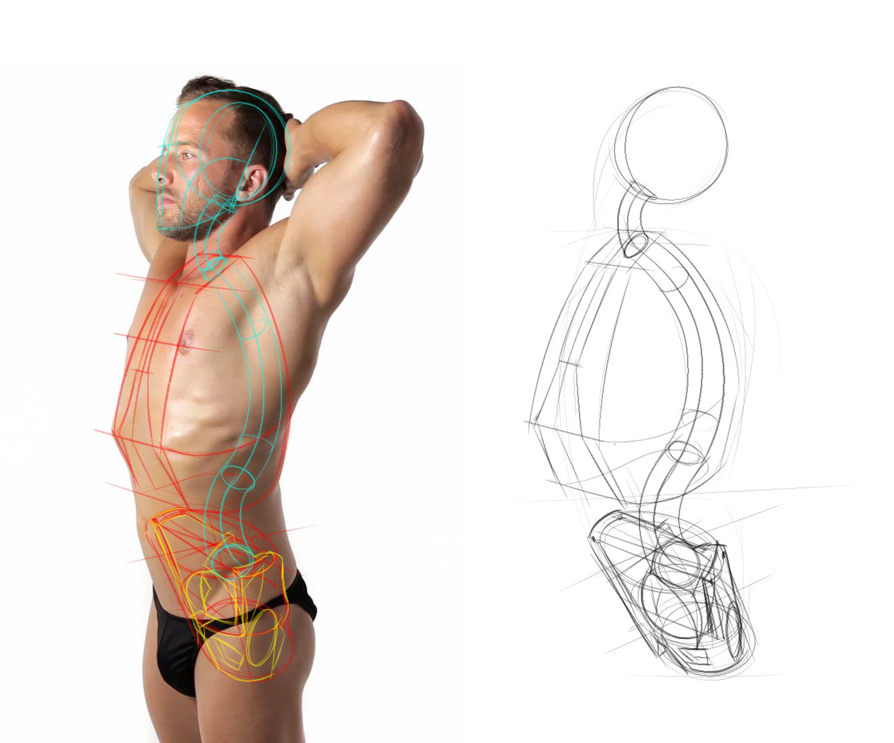 Proko - Ribcage studies - looking for critique