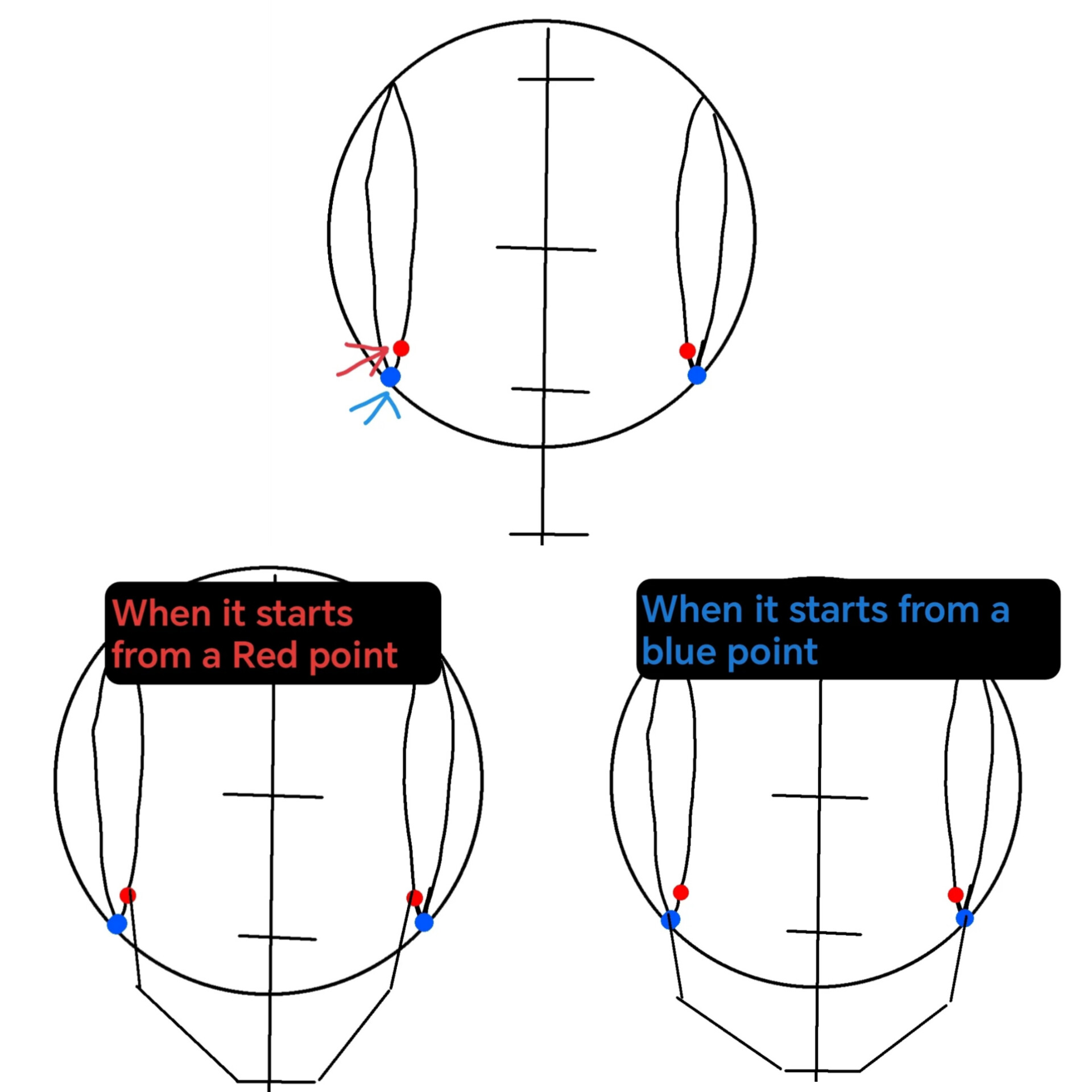 Proko - Loomis method front view, where should you start the jawline?