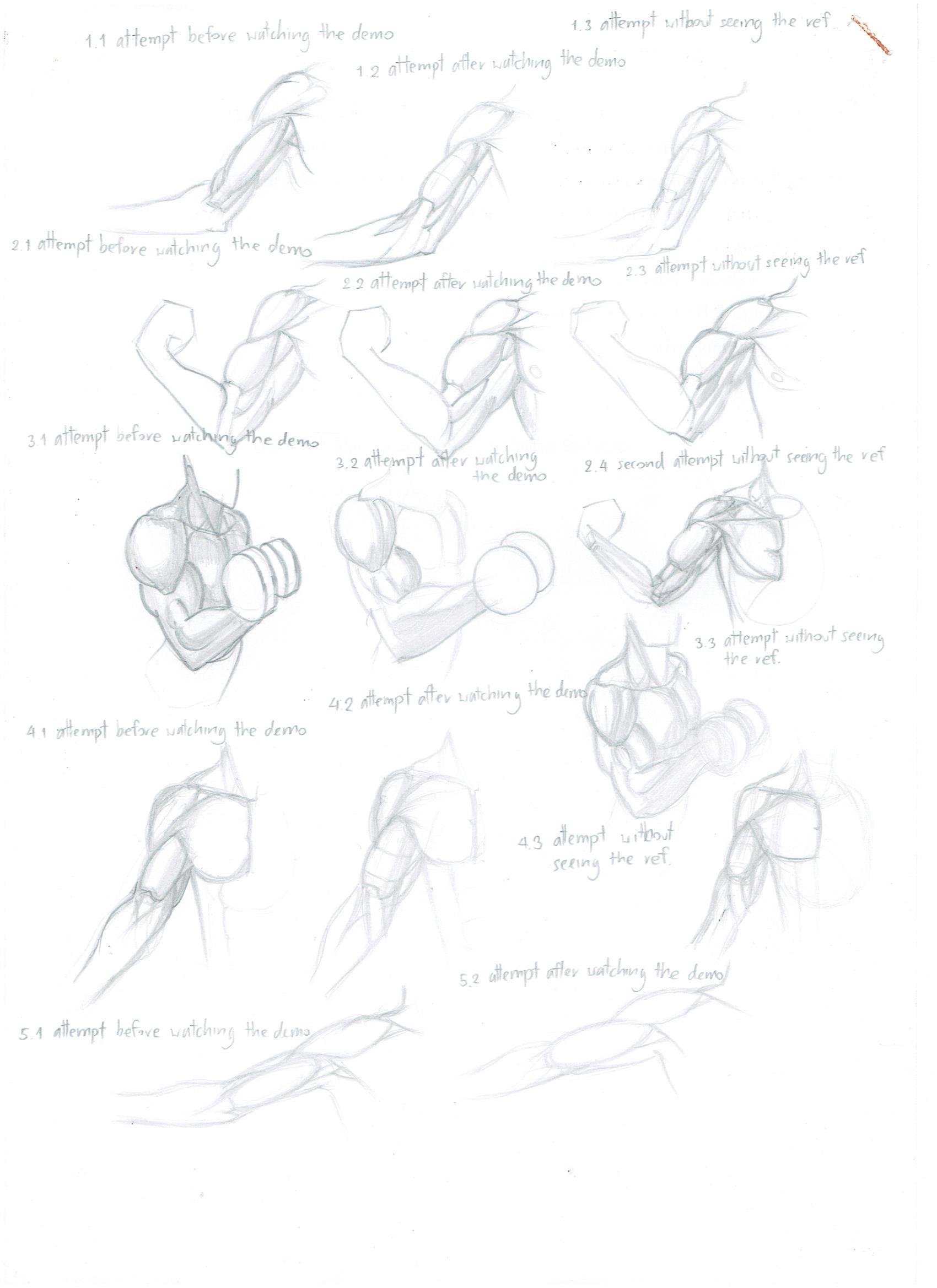 Arm Drawing Reference