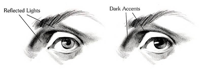 drawing the eye full calues and dark accents
