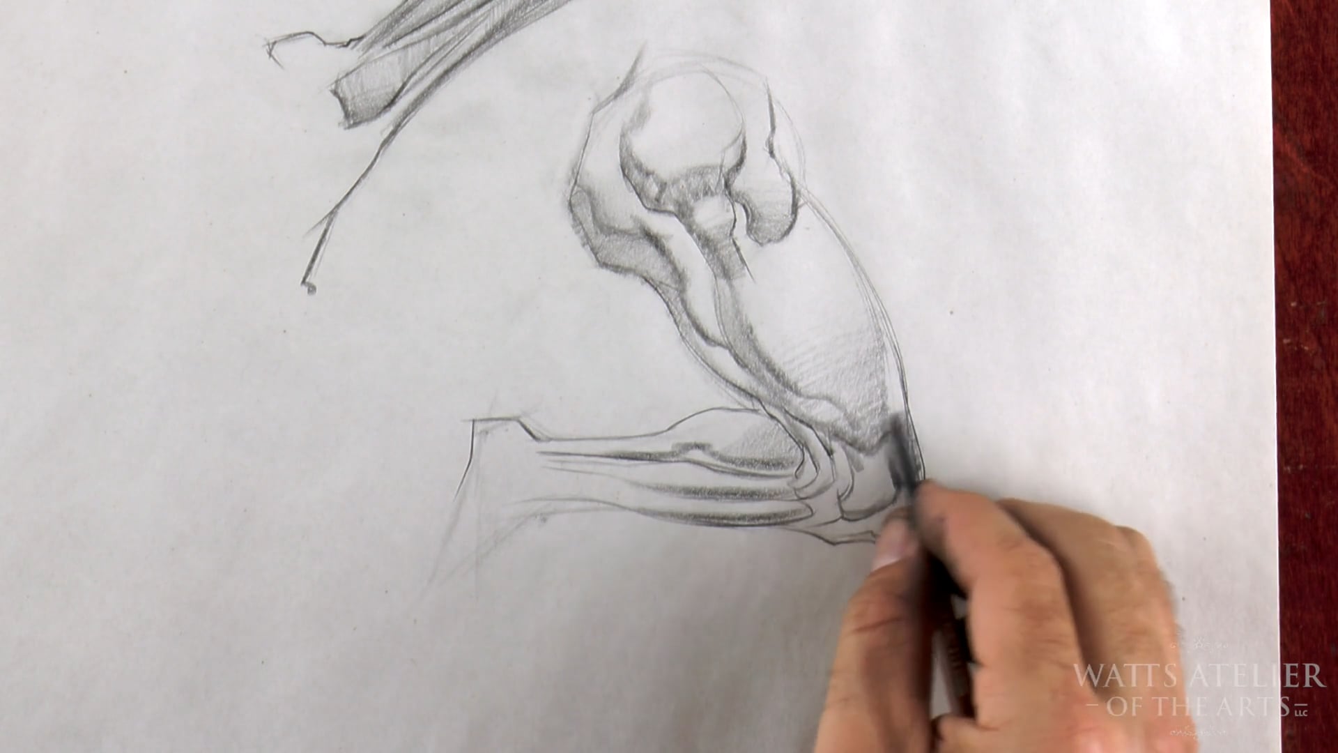 Proko - Bridgman Legs Profile - Inside and Outside - Page 113