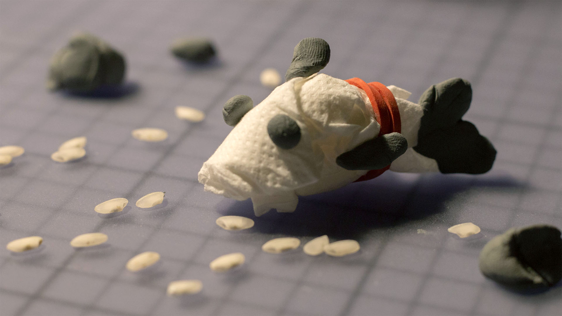 Proko Practice Physical Maquette